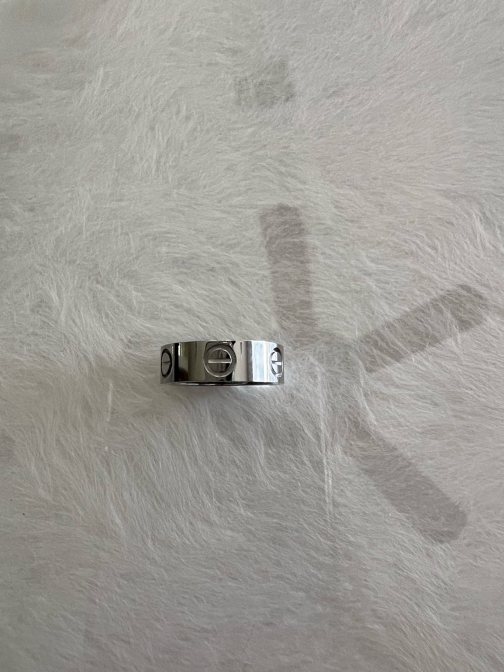 Titanium Silver Screw Band (6)
